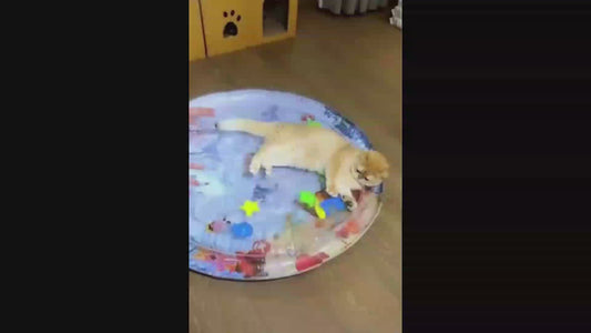 🐕🎉 Zona de Juegos Acuáticos para Mascotas – Alfombrilla Redonda y Refrescante 💧